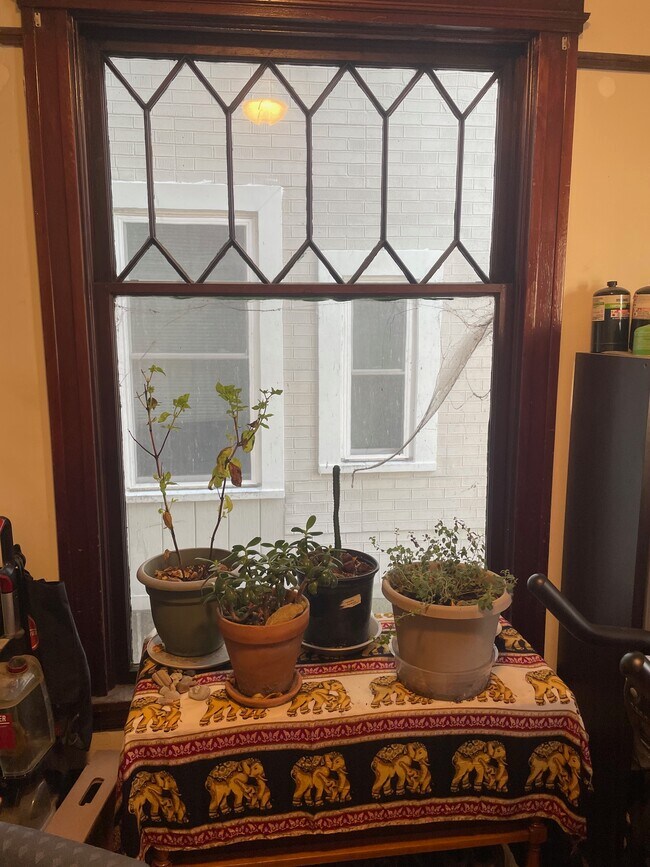 1051 E Johnson St unit 1, Madison, WI 53703 - photo 5