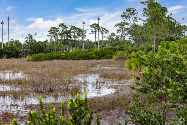 Wildlife in the Acreage pines natural area can be enjoyed during a peaceful walk.