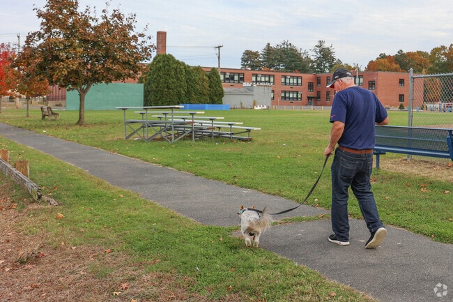 Dogs enjoy a good walk down to Bowie Park in Fairview.