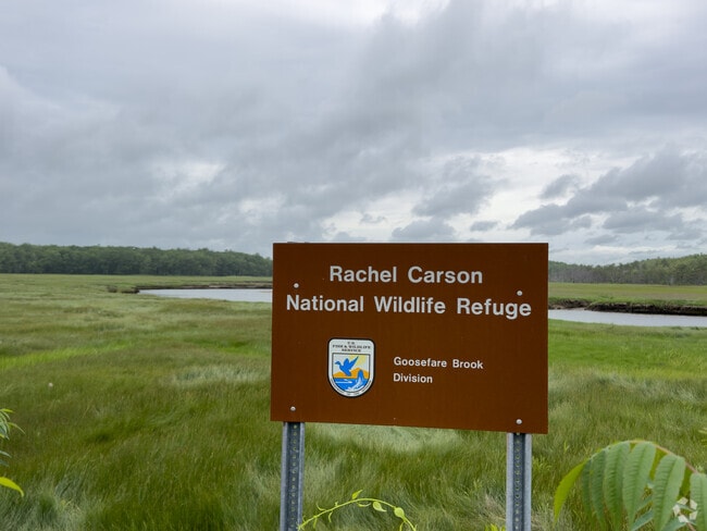 The Rachel Carson National Wildlife Refuge is a peaceful place to do some bird watching.