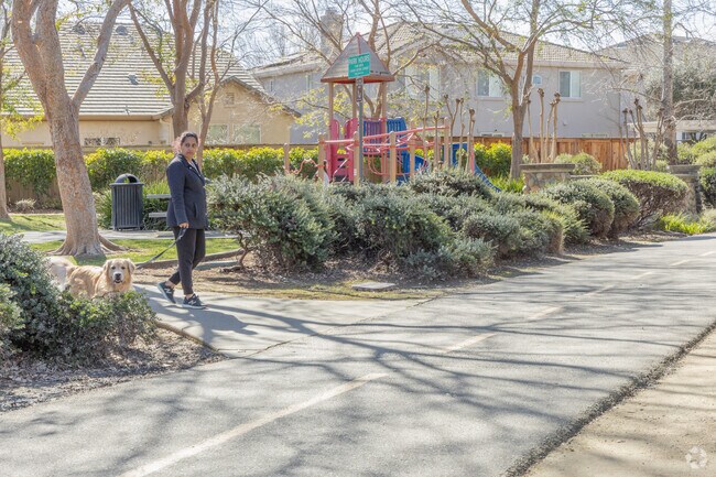 Trails in The Parkway are perfect for dod walkers.