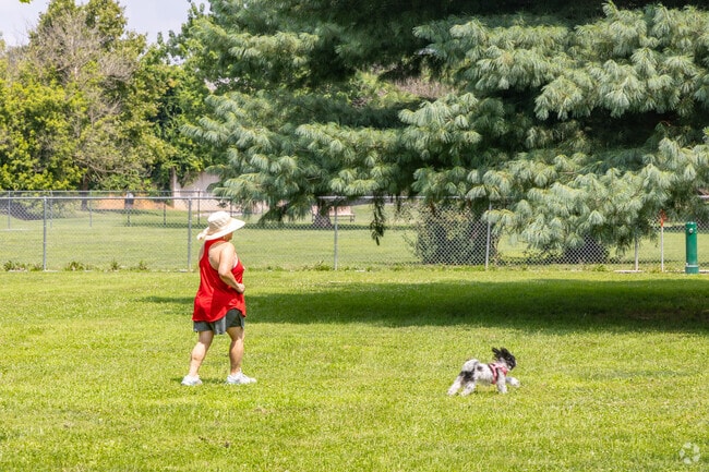 Dog owners can enjoy the open space at the dog park located within Norlo Park.