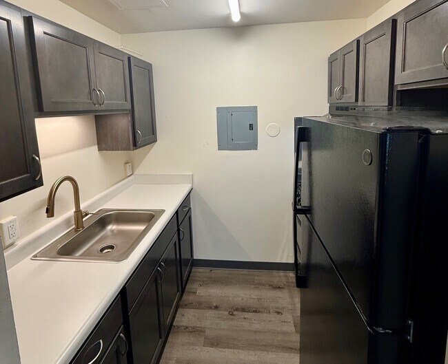 Aboussie Pavillion, Saint Louis, MO 63116 - photo 7