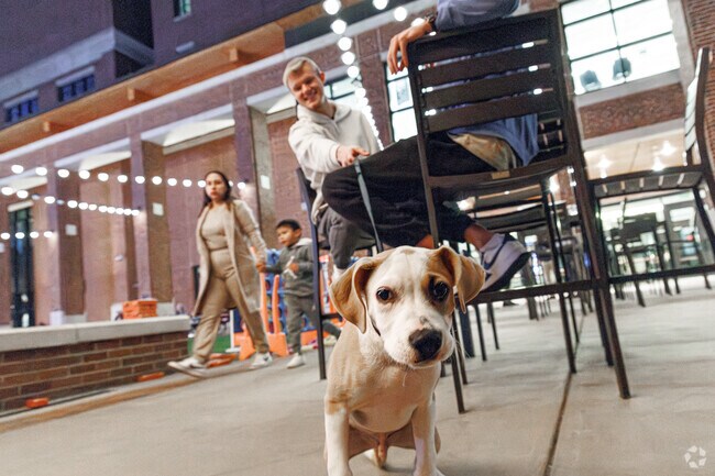 Movie Night at the Hey Day Market near Mckinley Heights is a pet-friendly event.