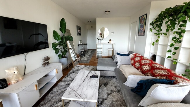 Main Living Area