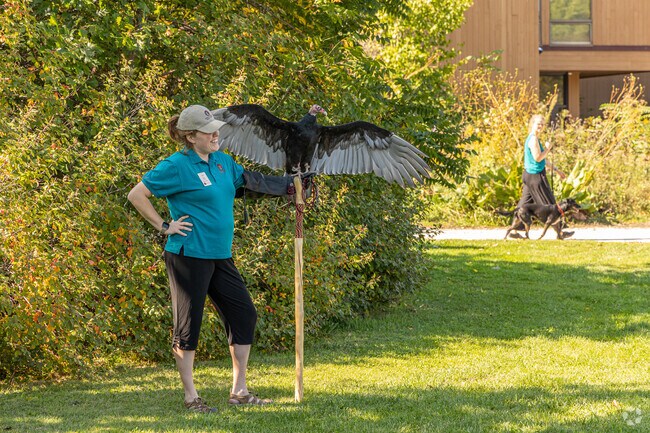 Make some new, feathered friends at Havenwoods State Forest.