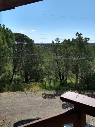 120 Badger Ct Unit Badger Court U4, Alto, NM 88312