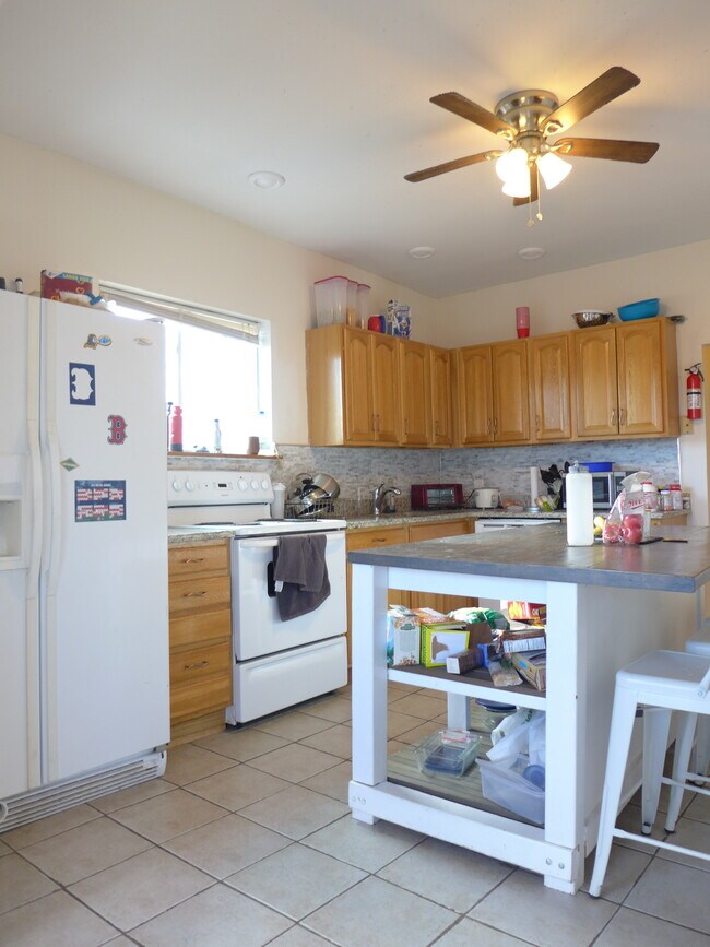 832 Parker St unit 3, Boston, MA 02120 - photo 3