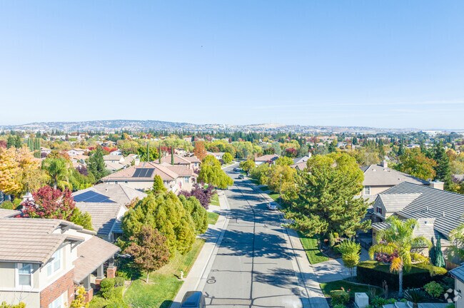 Many mature trees line the streets of Willow Springs.