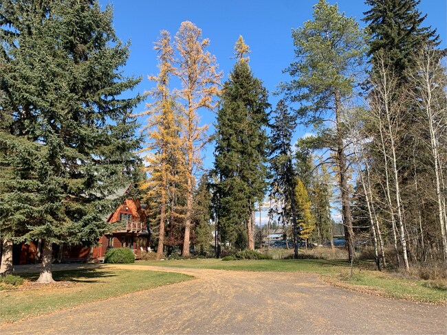 1005 Creekview Dr, Whitefish, MT 59937 - photo 2