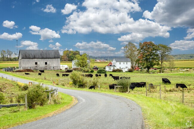 Cows aren't the only residents, who enjoy the relaxing farmlands of Barr.