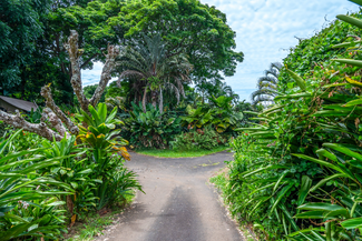 81-6467-6467 Hawai?i Belt Rd Unit 1, Kealakekua, HI 96750