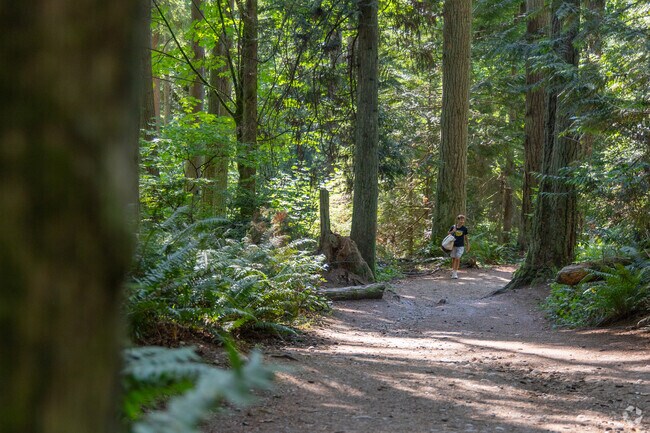 Meadowdale Beach Park near Wingate offers miles of hiking through dense forest.