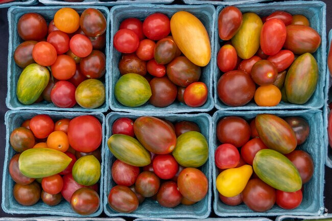 Local county residents head to the Bourbon County Farmers Market every Saturday.