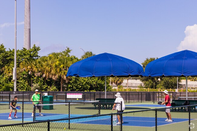 Monet locals enjoying a game of pickleball in Lilac park.