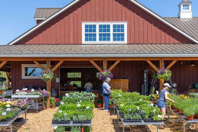Phillips Farm in Holland is known for its vibrant flowers, offering a colorful display of seasonal blooms.