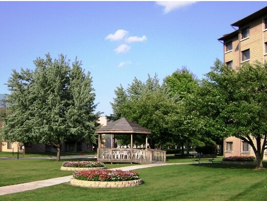 Cedar Ridge Apartments, Richton Park, IL 60471 - photo 6