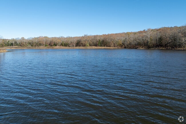 Brush Lake is full of opportunities for local anglers to enjoy their day.