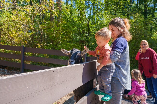Say hello to the goats and many other animals at Oglebay Good Zoo in nearby Wheeling.