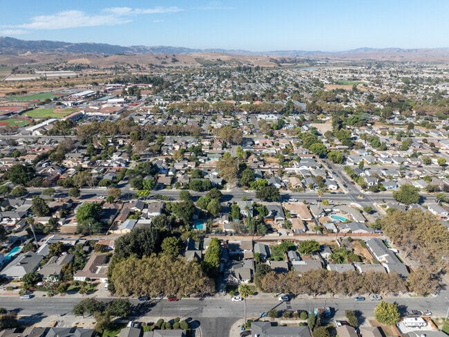 Explore scenic valleys and vineyards around Hollister, a gem of San Benito County.