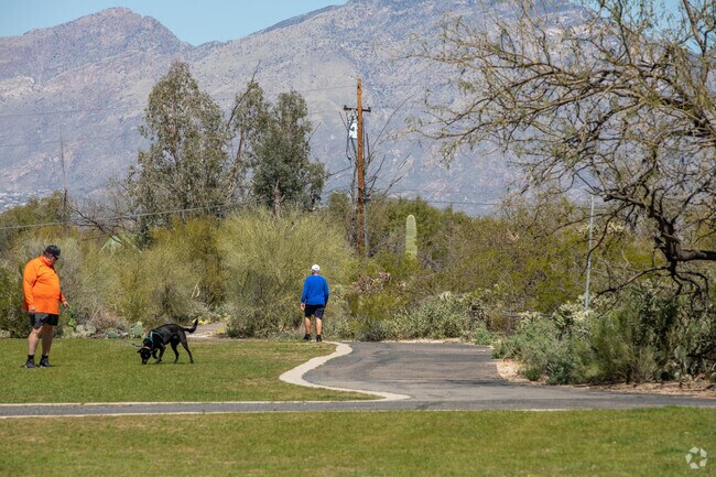 A walking path at Case Natural Resource Park provides beautiful mountain views in Eastside.