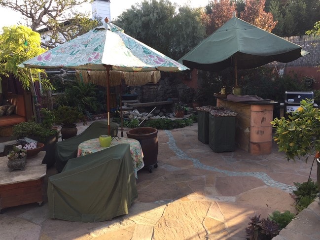 Beautiful back yard with lots of plants