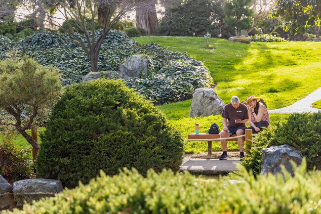 Visitors find harmony in Kennedy's stunning Japanese Friendship Garden.