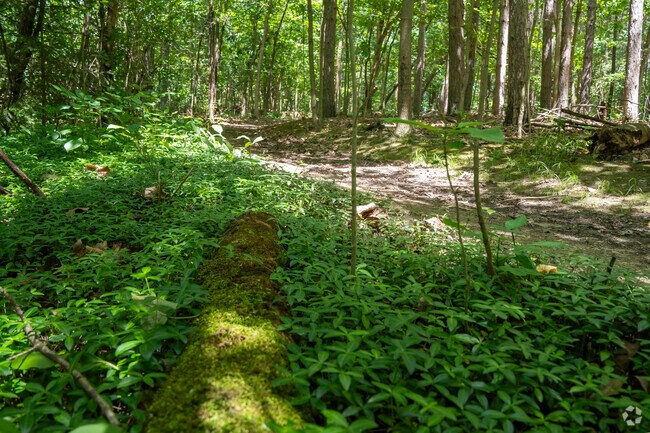 Enjoy a brisk morning walk at Greenview and Pioneer Woods Nature Area.