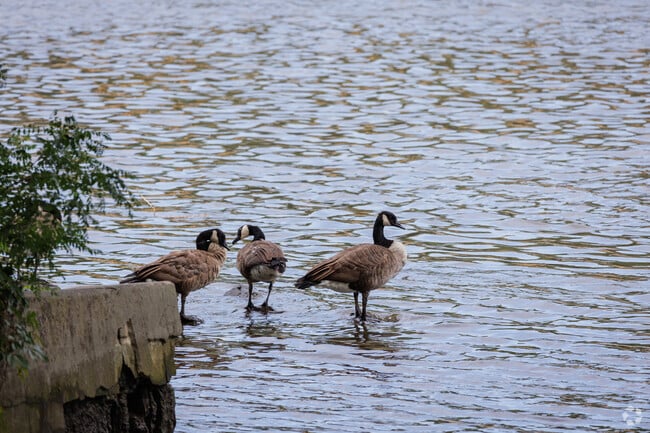 Manor Section residents have easy access to the Passaic River.