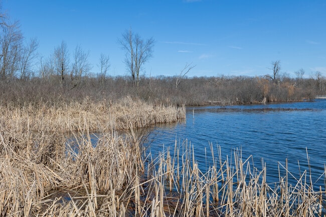 Reeds Lake in East Grand Rapids is a popular kayaking and fishing destination.