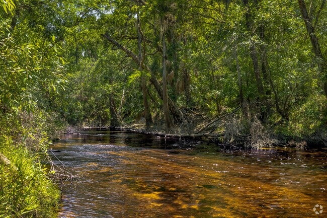 Enjoy a day out on a kayak or canoeing down the Alafia River in Valrico.