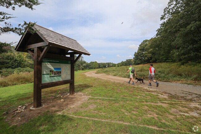 Go for a long hike with your dog at the Middlesex Fells Reservation near Melrose Highlands.