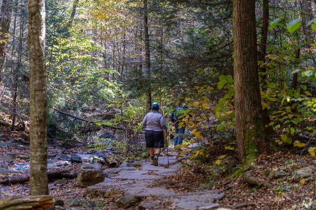 Many of the locals love to hike in the surrounding parks.
