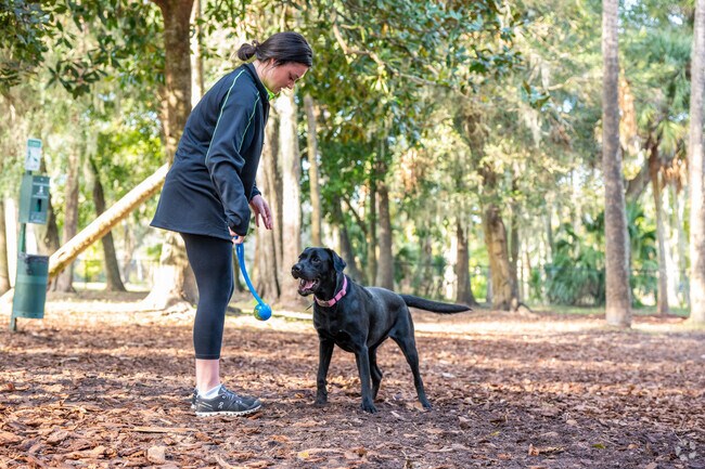 Port Orange residents love to bring their dogs to Seamore Memorial Dog Park.