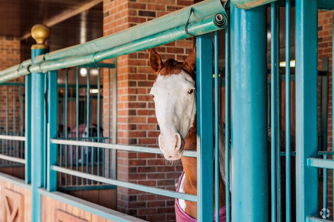 The horses are the stars at Dolly Parton's Stampede in Branson.