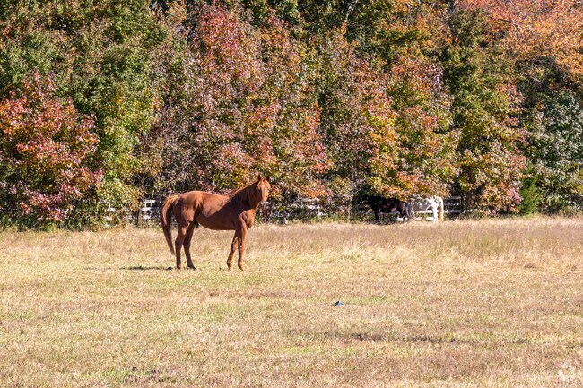 Plumsted is home to scenic equestrian farms and riding trails.