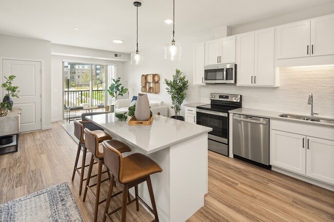 Aster, Coon Rapids, MN 55433 - photo 2