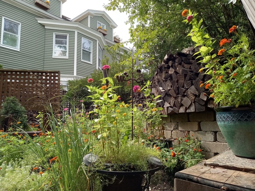 13 Essex St unit 1, Salem, MA 01970 - photo 1