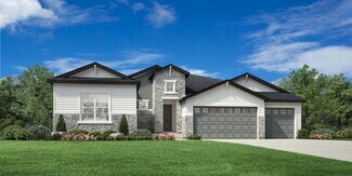 462 Agoseris Way, Castle Rock, CO 80104