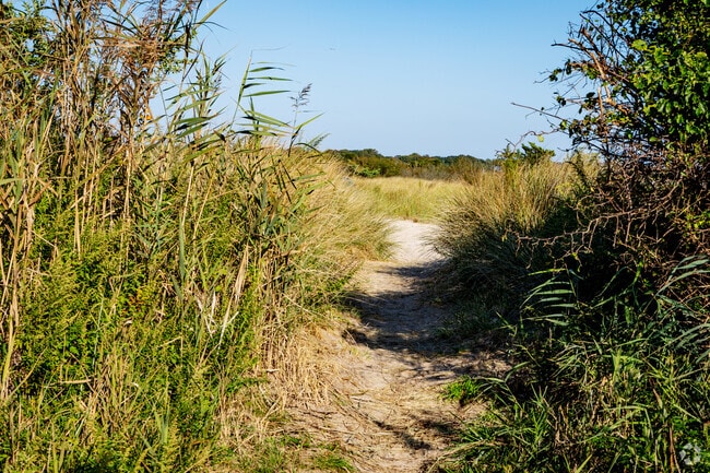 Welcome to Mud Creek Dog Park.