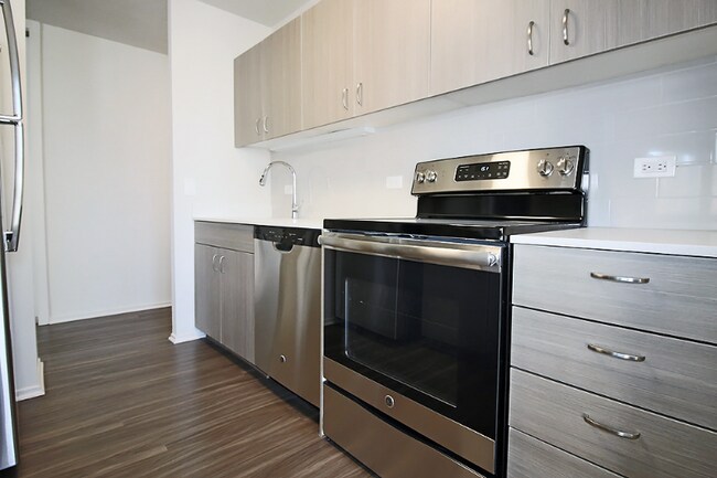 1135 N Dearborn St, Chicago, IL 60610 - photo 6