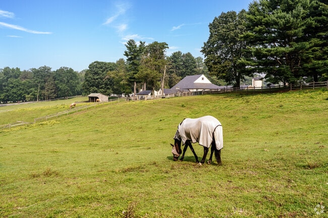 Ridley Creek State Park has riding trails as well as its own stable for Willistown residents.