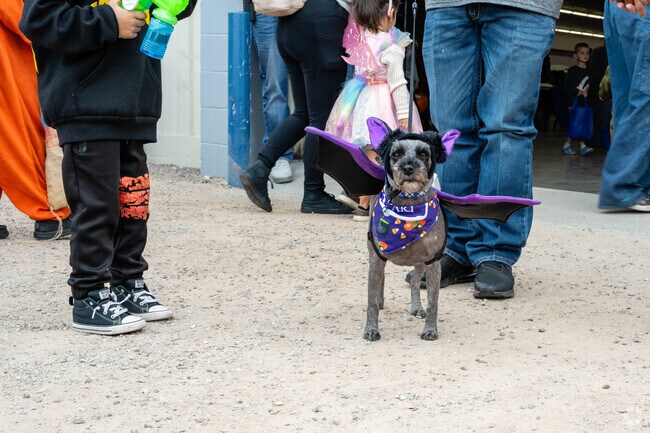 Festive community events near Ranch Acres bring neighbors together for fun and creativity.