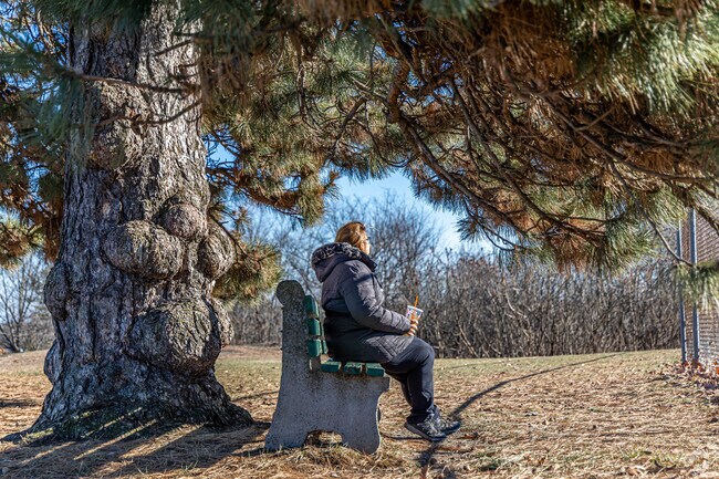 Residents of Witchcraft Heights enjoy the crisp mornings at Mack Park.