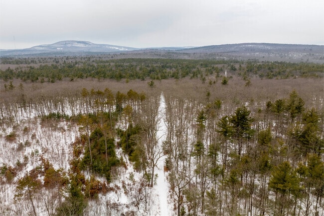 Leominster State Forest features over 4,200 acres with an extensive trail system.