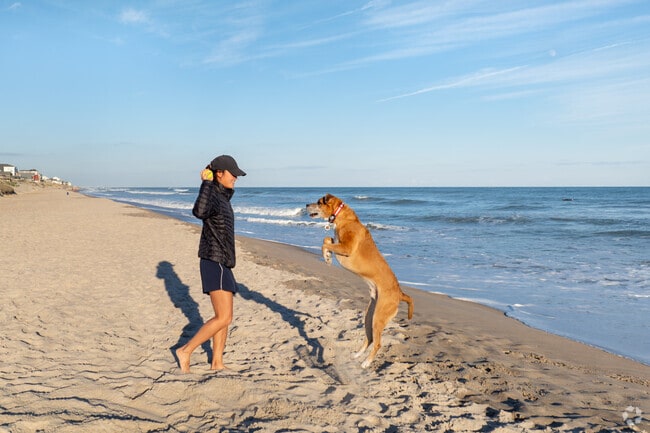 Dogs living their best life on Surf City's sandy shores.