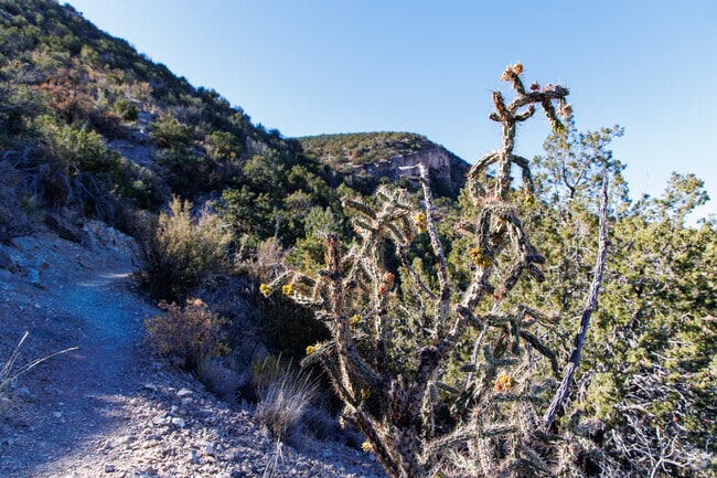 Outdoor enthusiasts love the Placitas Area for the variety of landscapes for hiking.