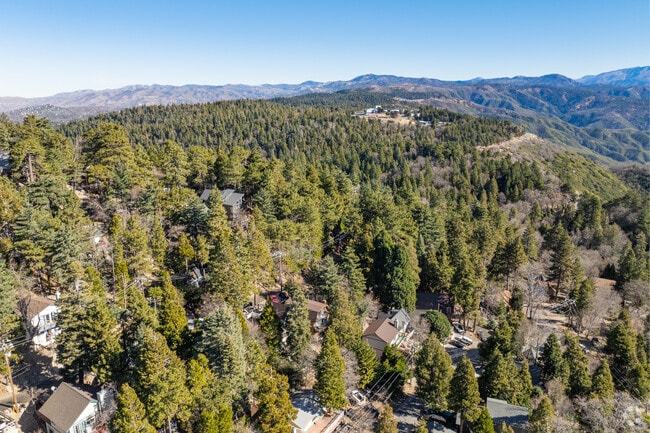 Lake Arrowhead is located in the San Bernardino Mountains surrounded by forest.