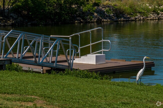 Often found guarding the shores of Rowlett's Paddle Point Park are graceful White Herons.