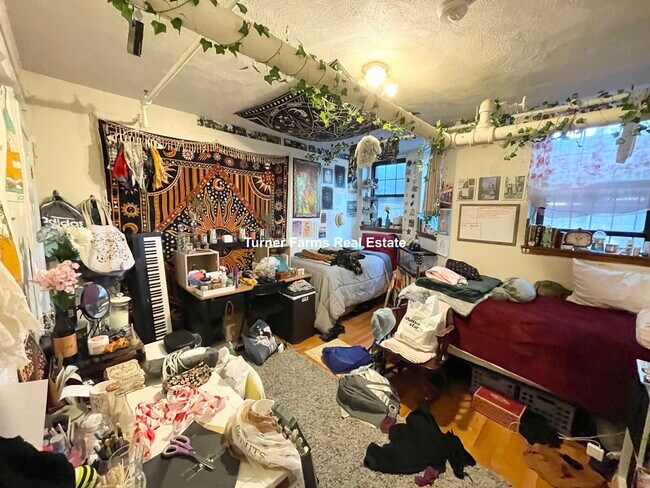 80 Saint Stephen St unit 25A, Boston, MA 02115 - photo 4